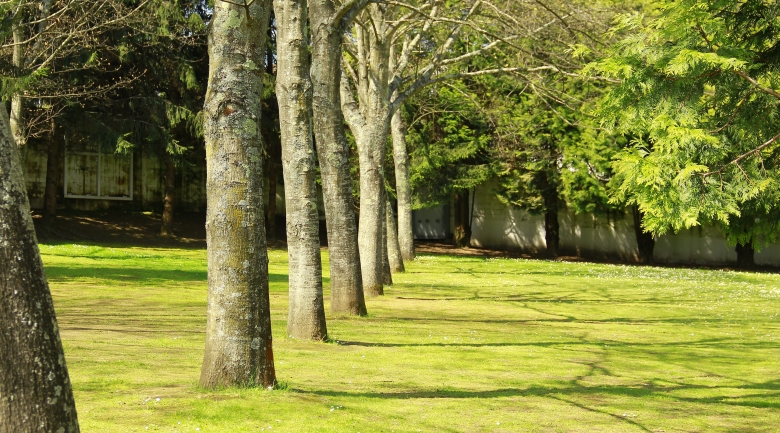 espacos-verdes; escola-privada; jardim-de-infancia